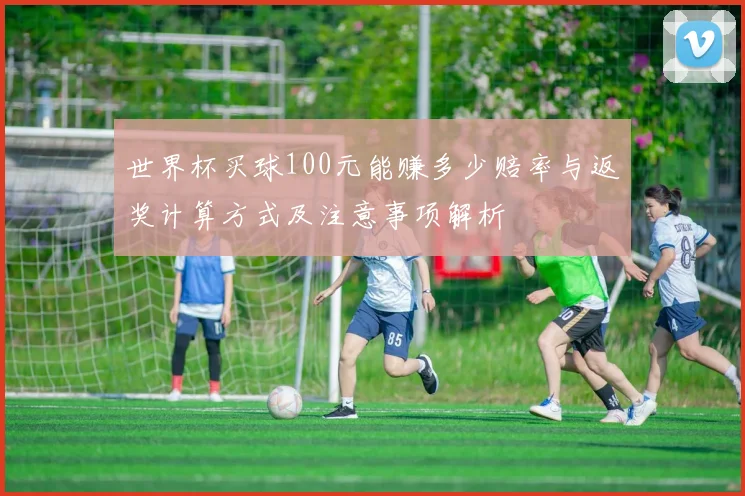世界杯买球100元能赚多少赔率与返奖计算方式及注意事项解析
