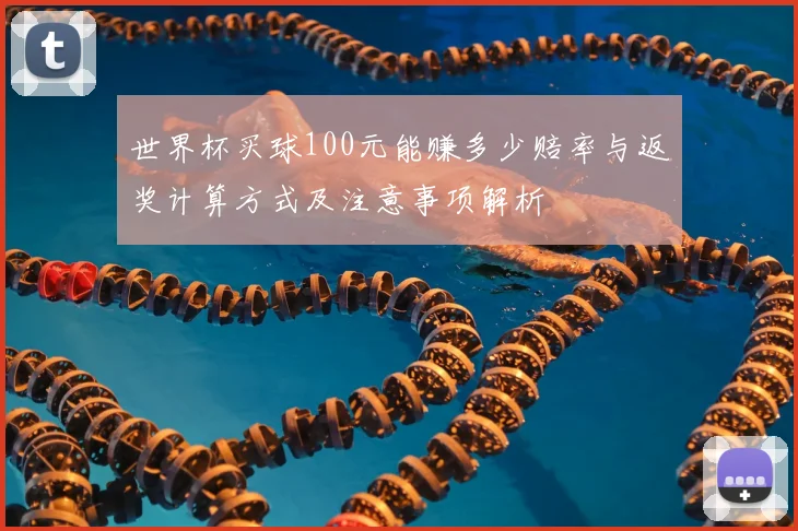 世界杯买球100元能赚多少赔率与返奖计算方式及注意事项解析